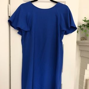 Ann Taylor Royal Blue Dress